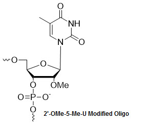 Bio-Synthesis Inc. Oligo Structure